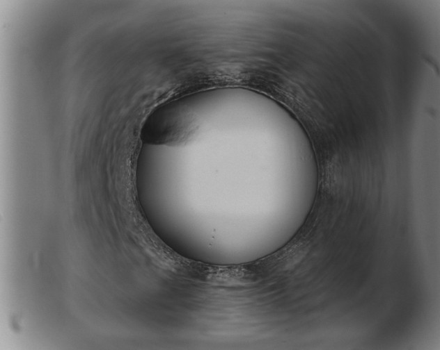 X0000103401201200809191513