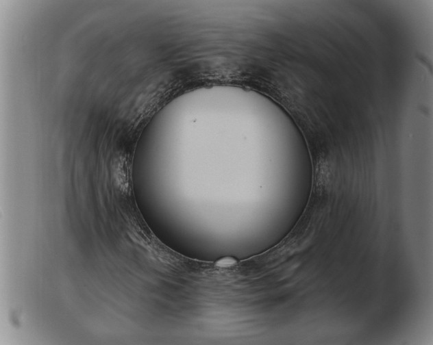 X0000103401202200809191513