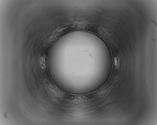 X0000103401203200809191513