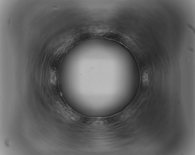 X0000103401204200809191513