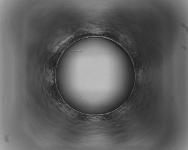 X0000103401205200809191513