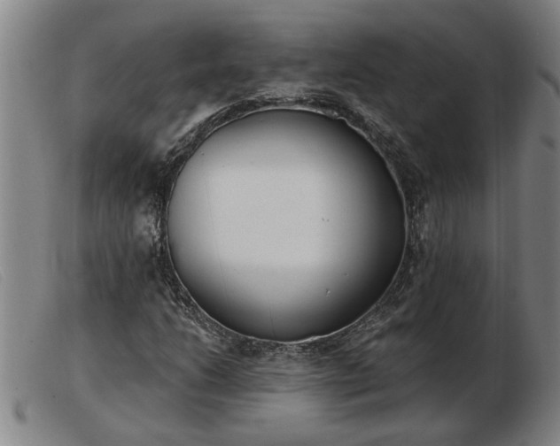 X0000103401206200809191513