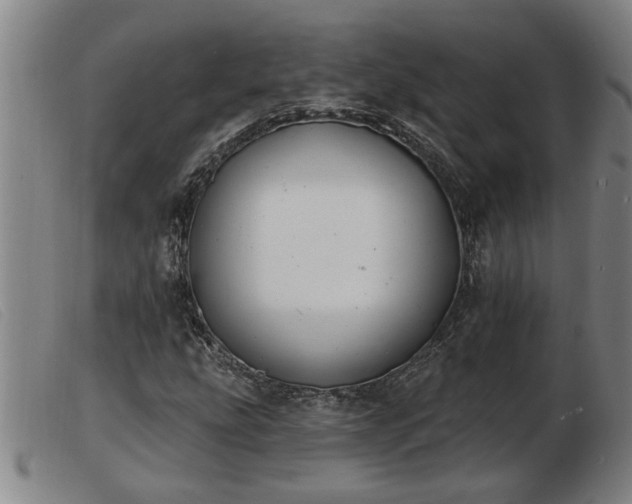 X0000103401207200809191513