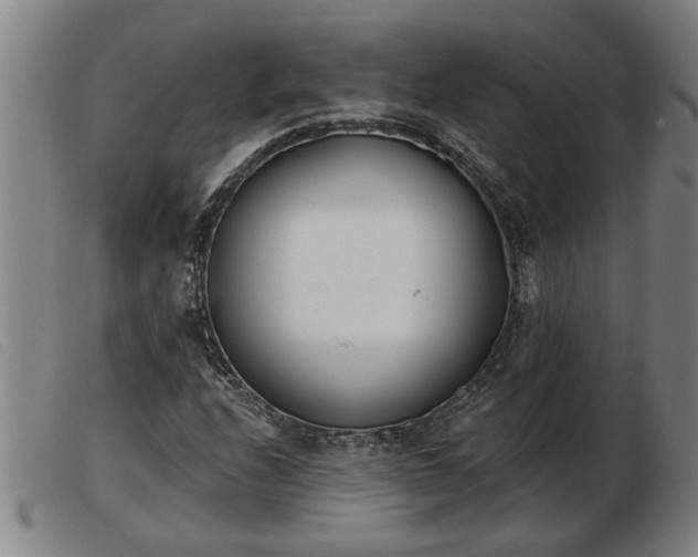 X0000103401208200809191513