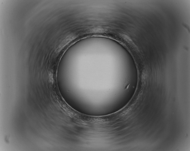 X0000103401209200809191513