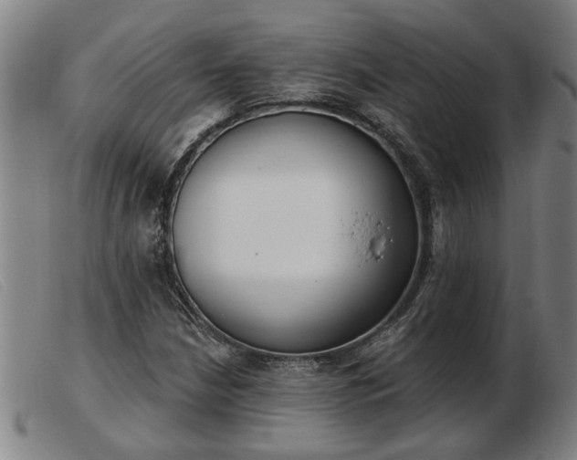 X0000103401210200809191513