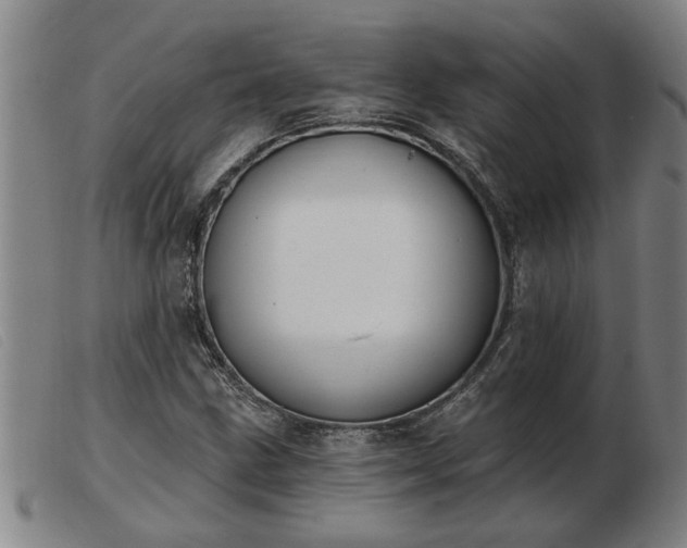 X0000103401211200809191513