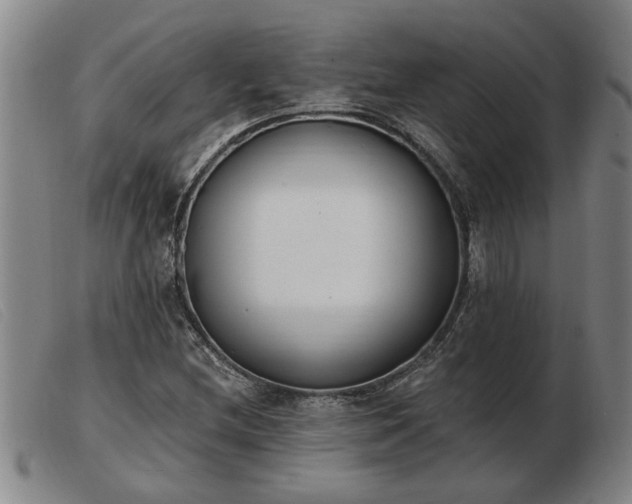 X0000103401212200809191513