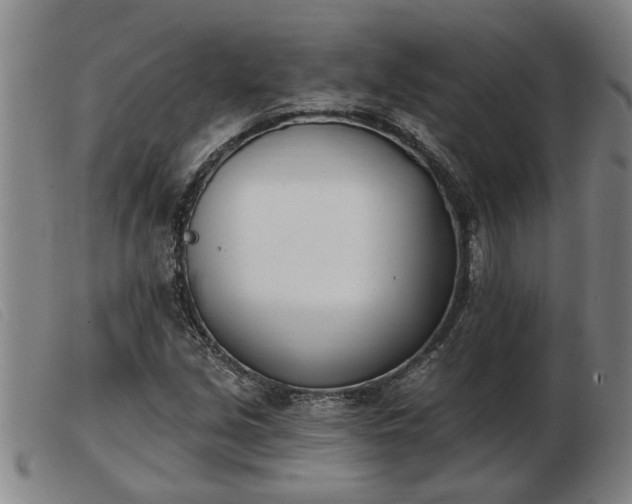 X0000103401213200809191513