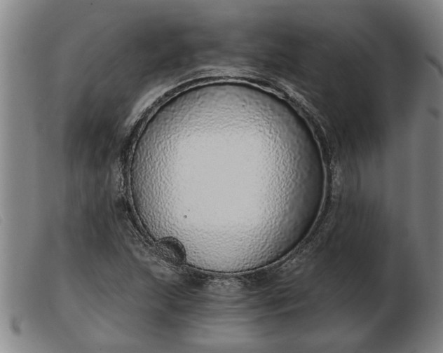 X0000103401215200809191513