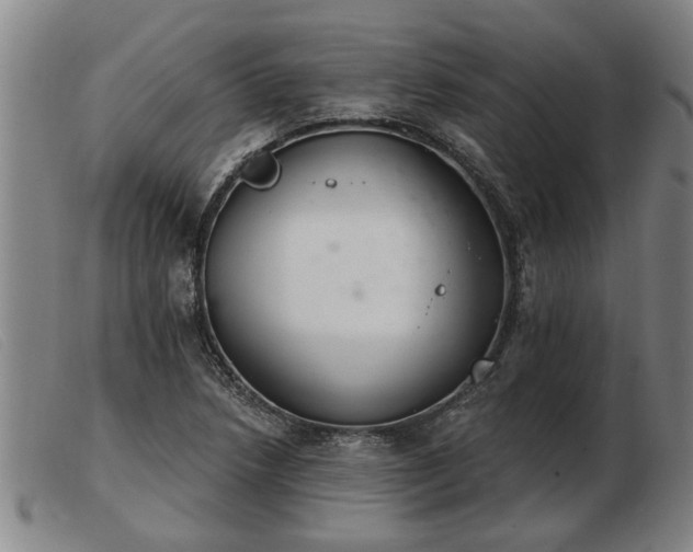 X0000103401218200809191513