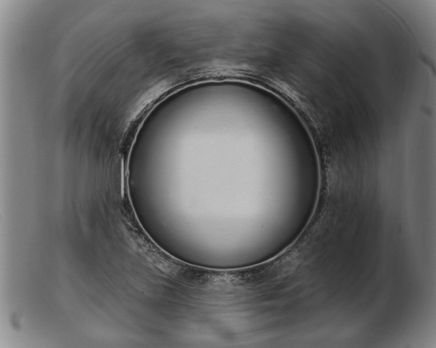 X0000103401219200809191513