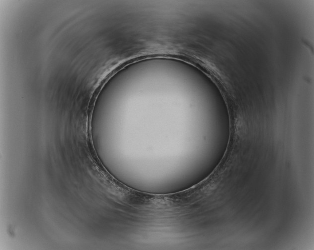 X0000103401220200809191513