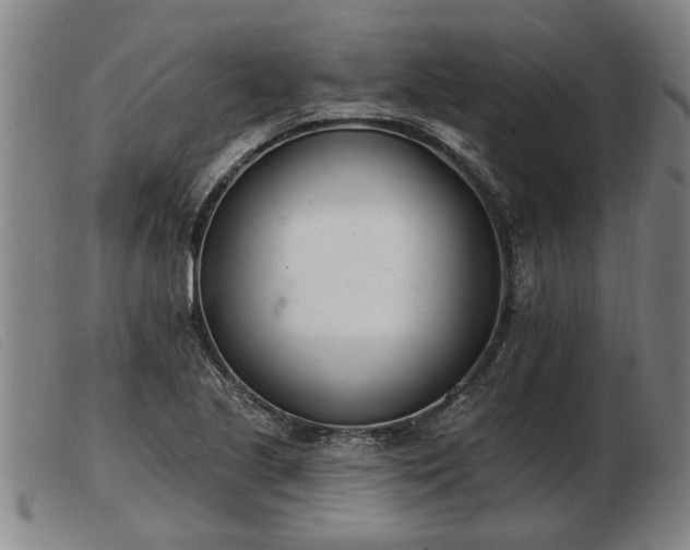 X0000103401221200809191513