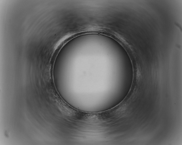 X0000103401222200809191514