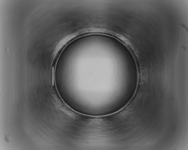 X0000103401223200809191514