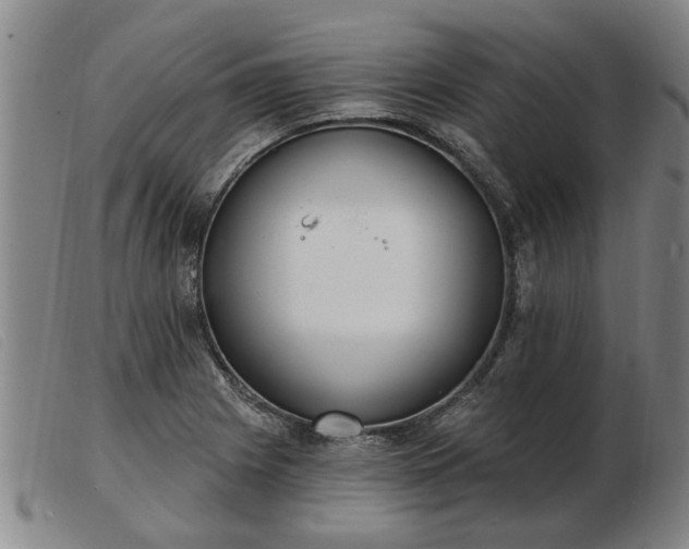 X0000103401225200809191514