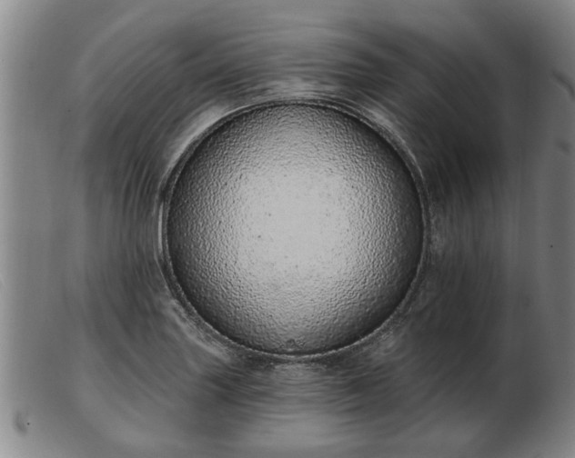 X0000103401227200809191514