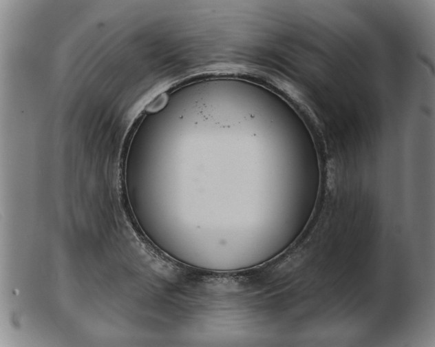 X0000103401229200809191514