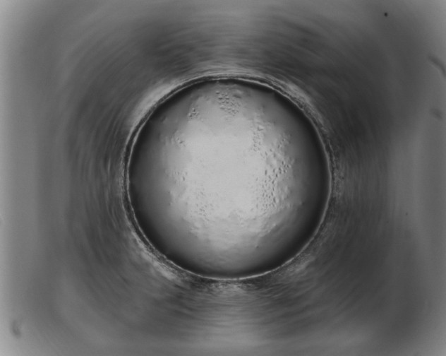 X0000103401231200809191514