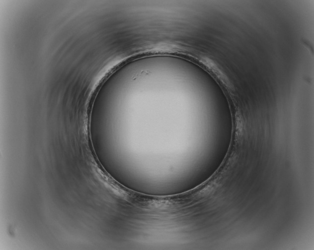 X0000103401232200809191514