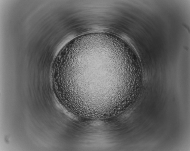 X0000103401235200809191514