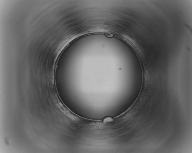 X0000103401236200809191514