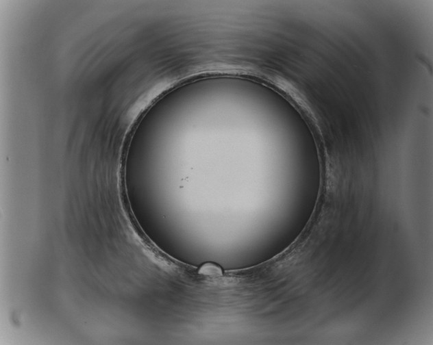 X0000103401237200809191514