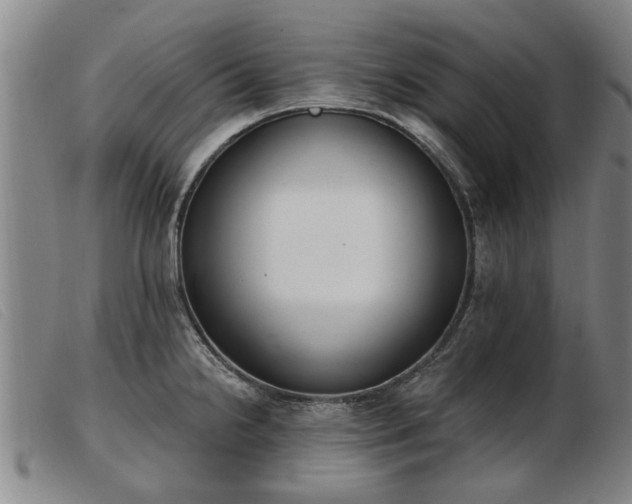 X0000103401238200809191514