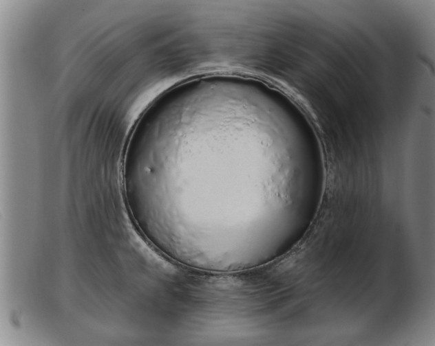 X0000103401239200809191514