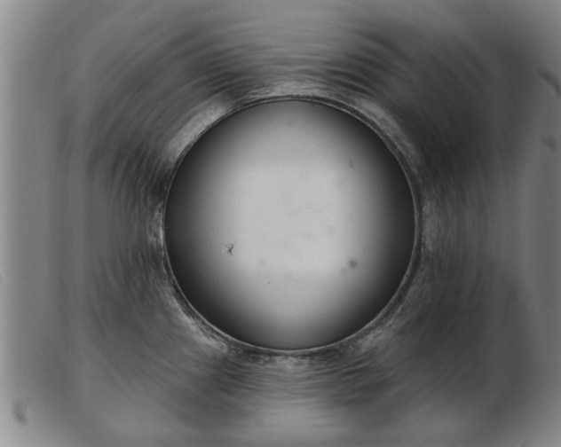 X0000103401241200809191514