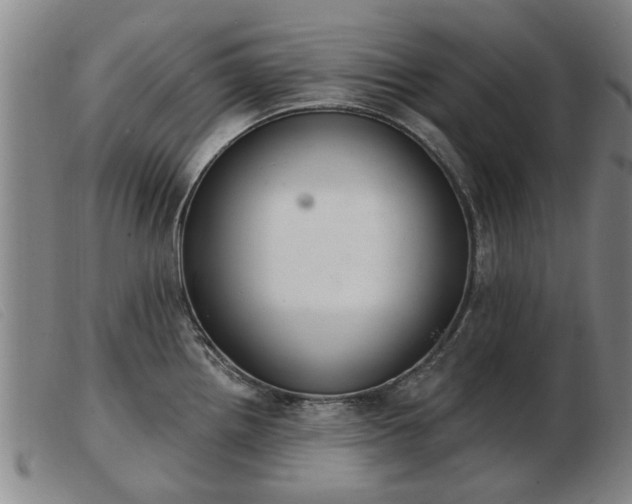 X0000103401242200809191514