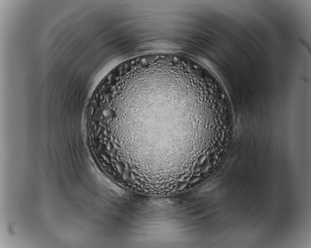 X0000103401243200809191514