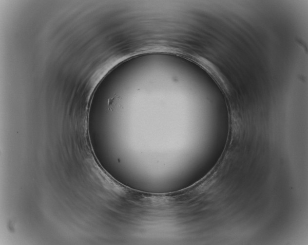 X0000103401244200809191514