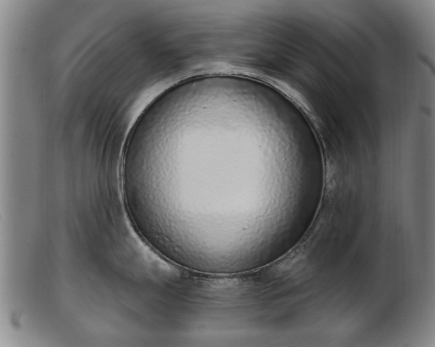 X0000103401247200809191514