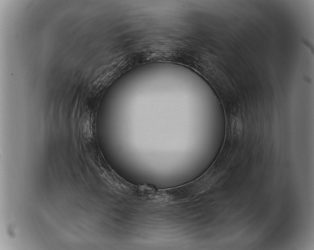 X0000103401250200809191513