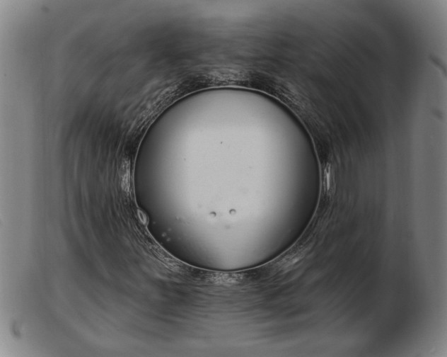 X0000103401251200809191513