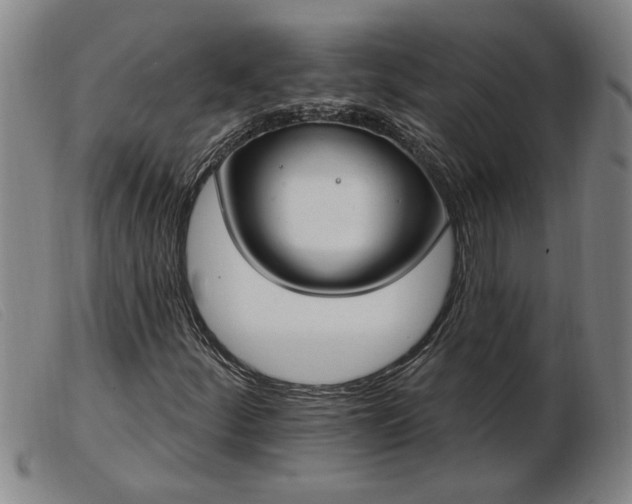 X0000103401252200809191513