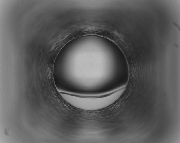 X0000103401253200809191513