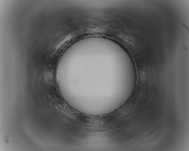 X0000103401254200809191513