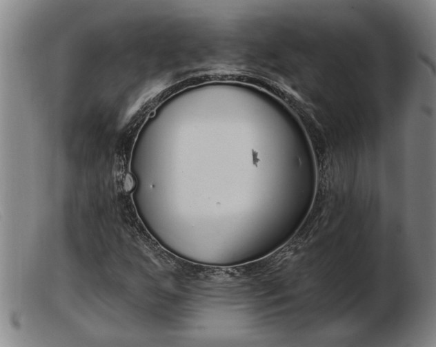 X0000103401255200809191513