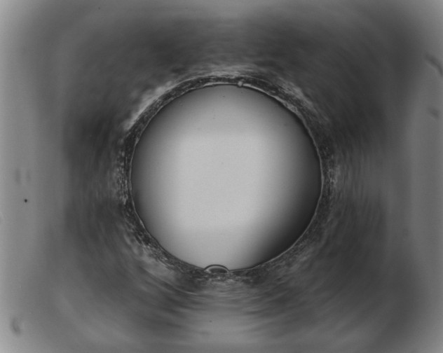 X0000103401256200809191513