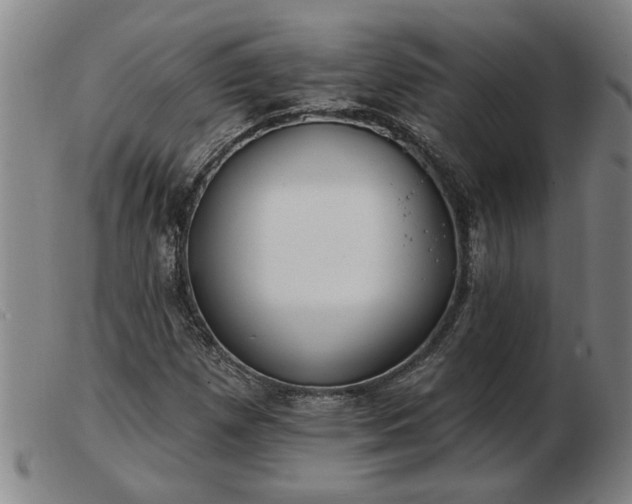 X0000103401257200809191513