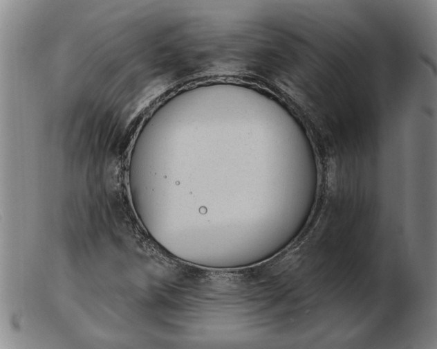 X0000103401258200809191513