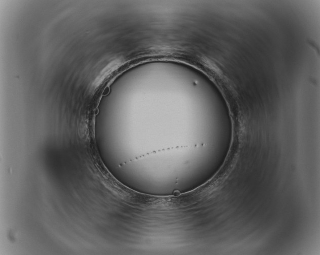 X0000103401259200809191513