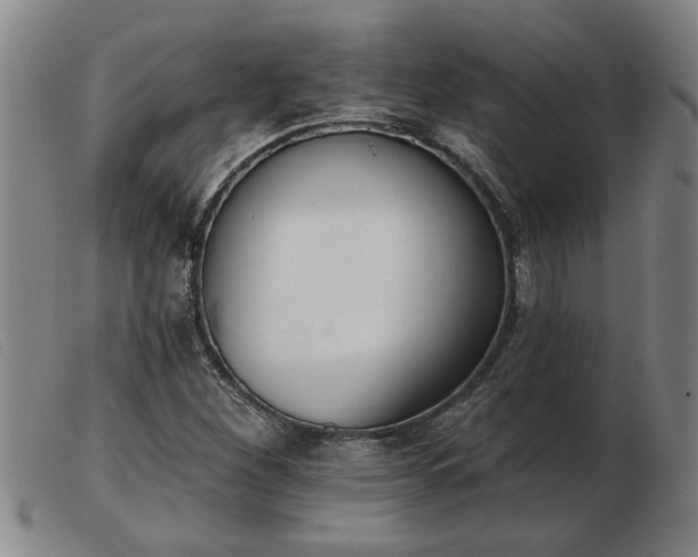 X0000103401260200809191513