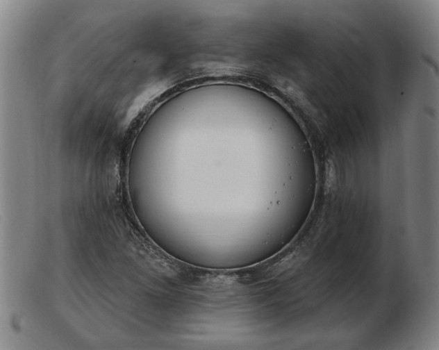 X0000103401261200809191513