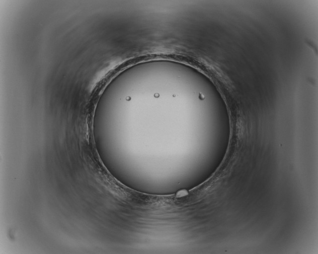 X0000103401262200809191513