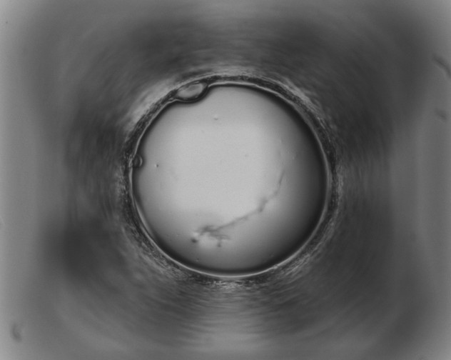 X0000103401263200809191513