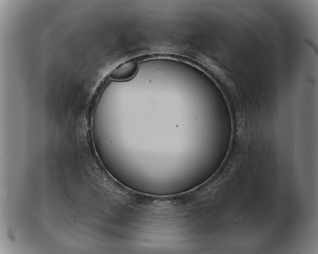 X0000103401264200809191513